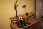 IMG 1373s