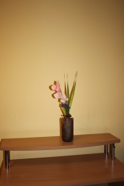 IMG 1392s