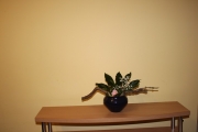 IMG 1422s