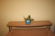 IMG 1425s
